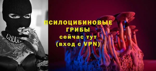 дживик Алзамай