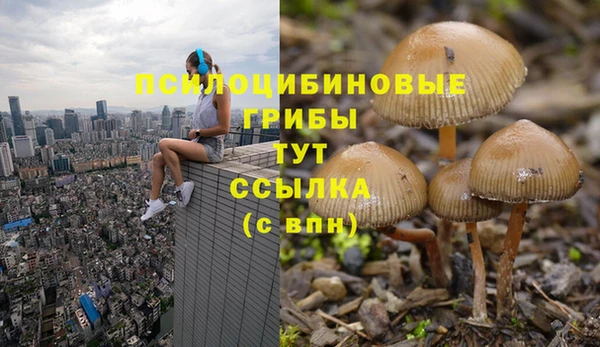 МДПВ Алексин