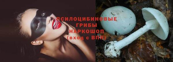 дживик Алзамай