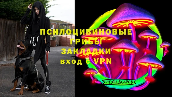 гидропоника Алексеевка